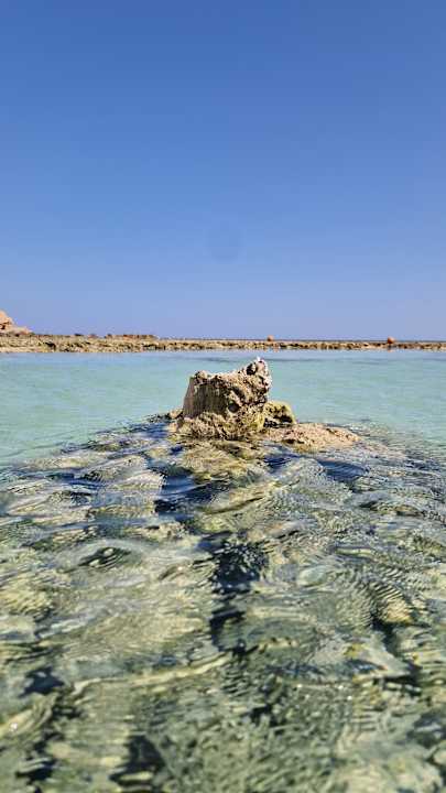 Strand Pickalbatros Vita Resort - Portofino Marsa Alam