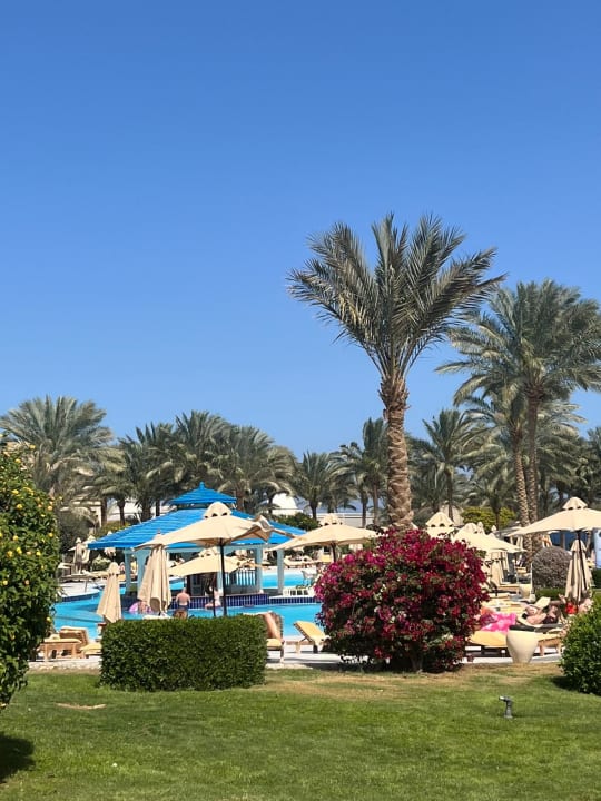 Pool Serenity Alpha Beach