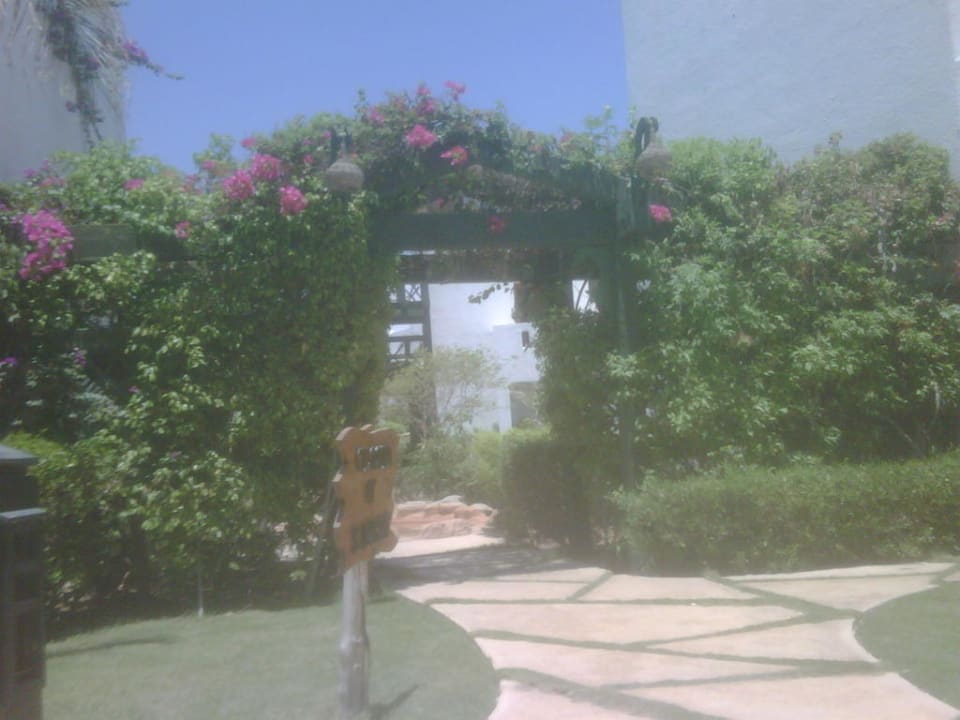 Der weg zum Pool Hotel Delta Sharm Resort