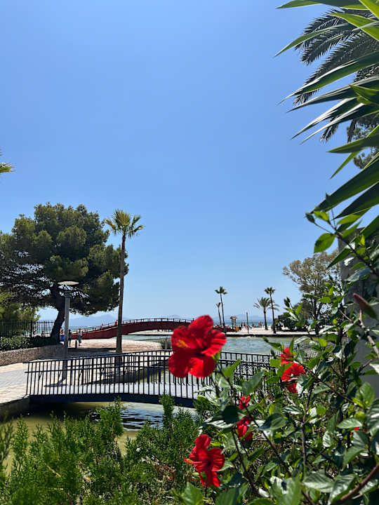 Ausblick allsun App.-Hotel Orquidea Playa