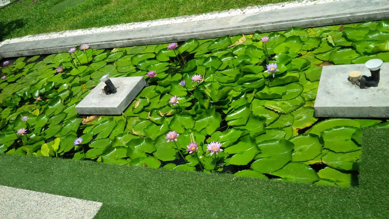 Schön Beyond Samui  (Im Umbau/Renovierung)