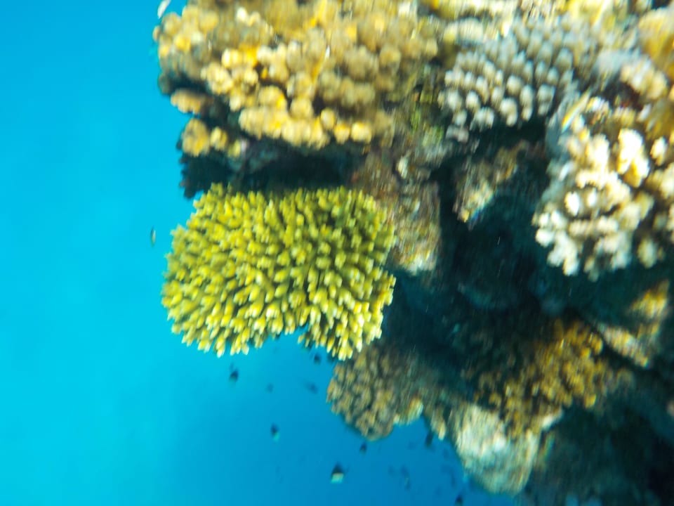 Hausriff Casa Mare Resort