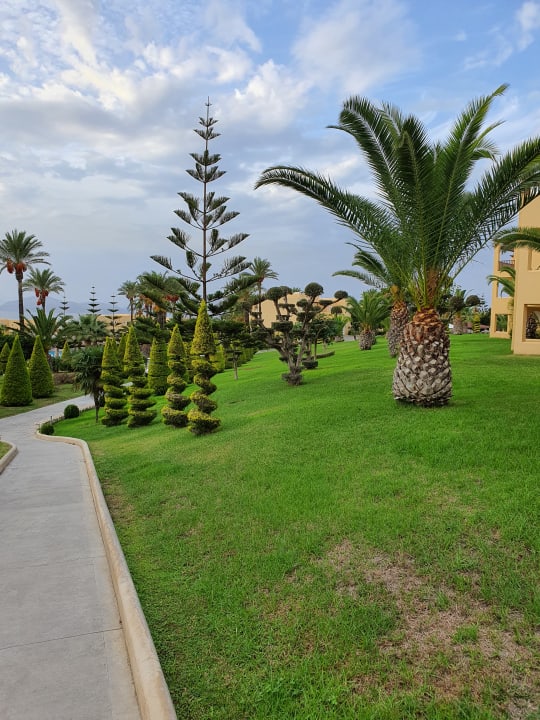 Gartenanlage Hotel Horizon Beach Resort