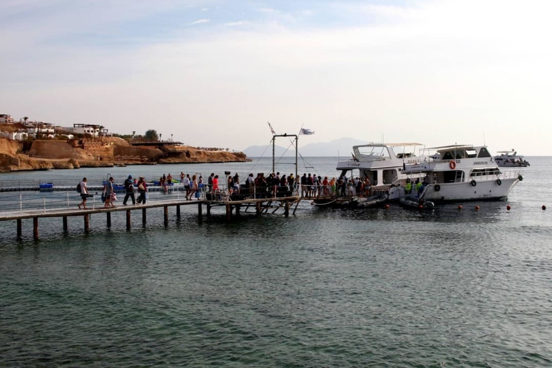 Diving Domina Coral Bay Resort, Diving , Spa & Casino