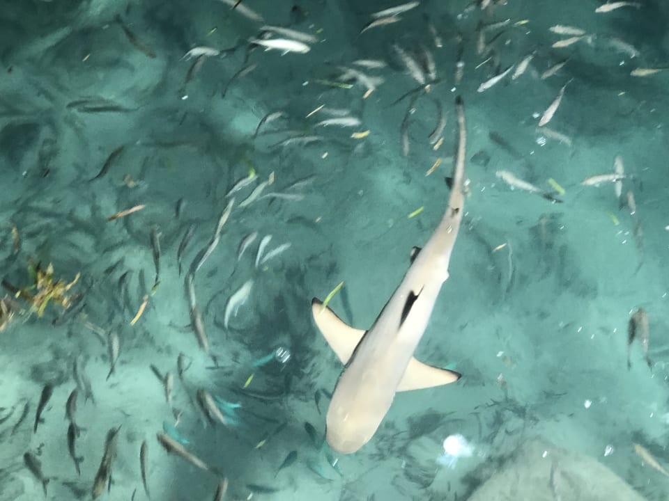 Strand Adaaran Select Hudhuran Fushi - Premium All Inclusive