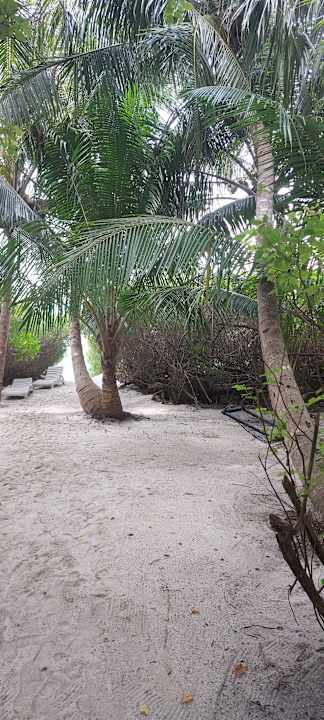 Gartenanlage Embudu Village