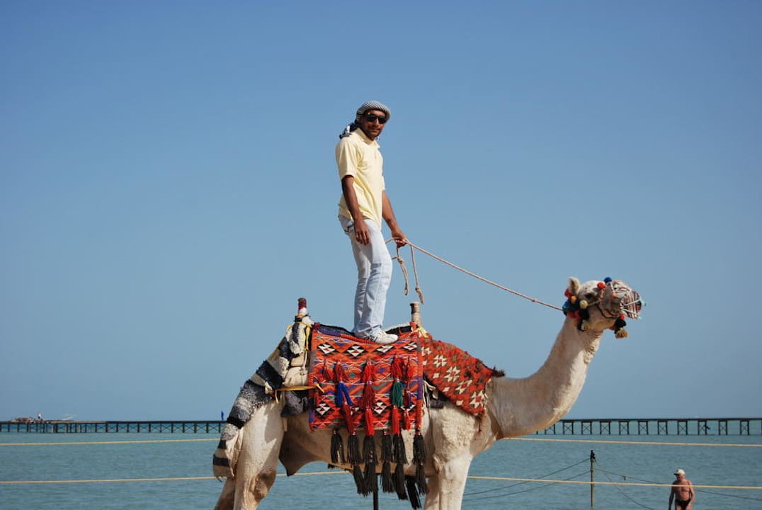 Оскар Riviera Aqua Park Resort