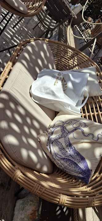 Strand Seashell Vega