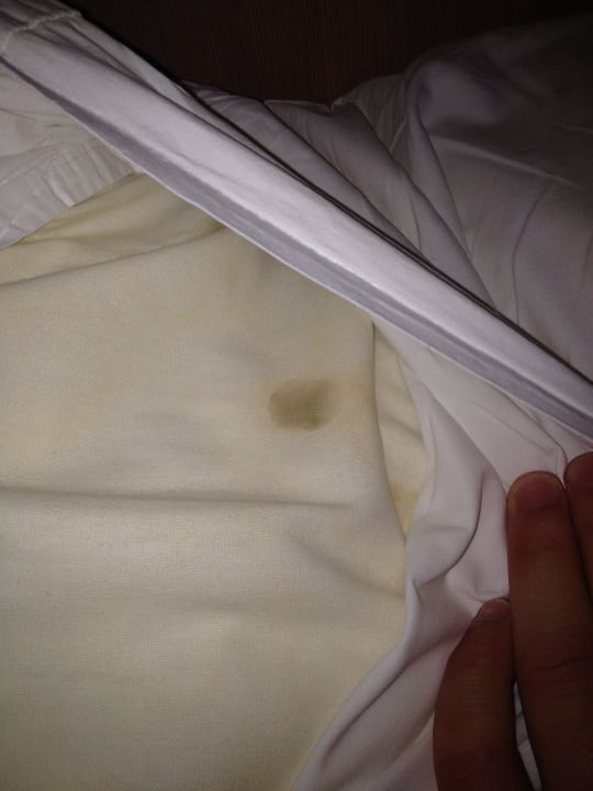 Fleck auf der Bettdecke Zimmer 547 Seher Kumköy Star Resort & Spa