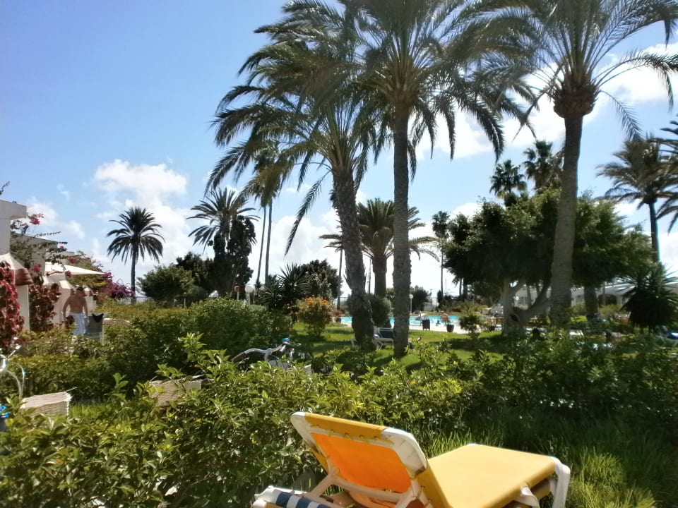 Garten Sahara Beach Club
