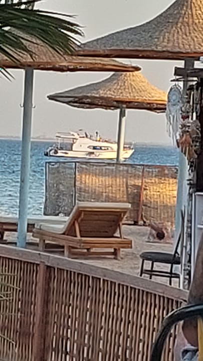 Strand Hotel Delphin Imperial