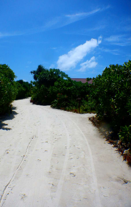 Gartenanlage Hondaafushi Island Resort