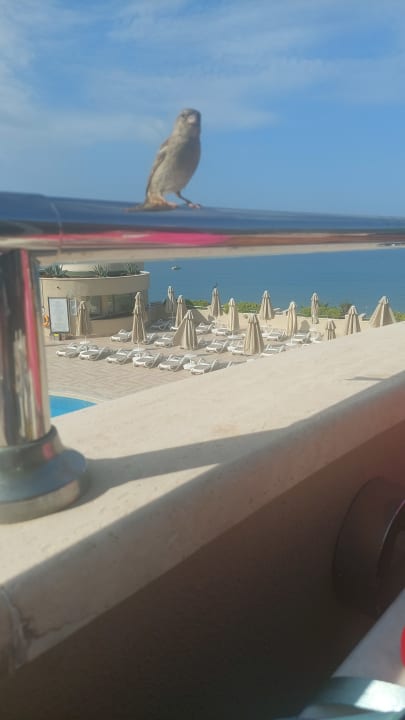 Gastro Melas Resort Hotel