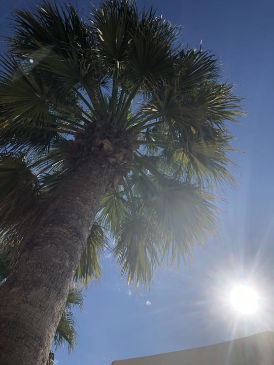 Pool VONRESORT Golden Beach