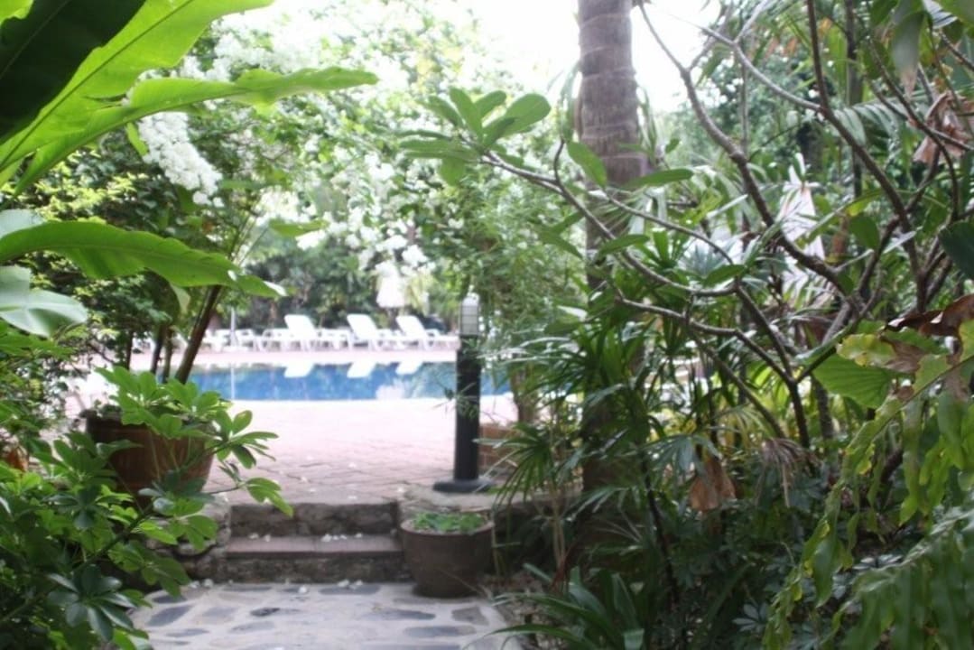 Ausblick Hotel Tropica Bungalow