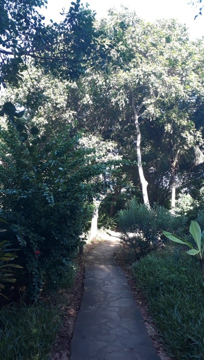 Gartenanlage Spice Island Hotel & Resort