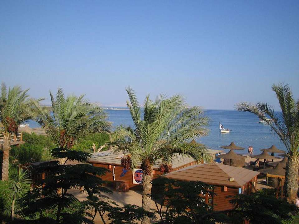 Ausblick von Zimmer 1231 JAZ Dahabeya