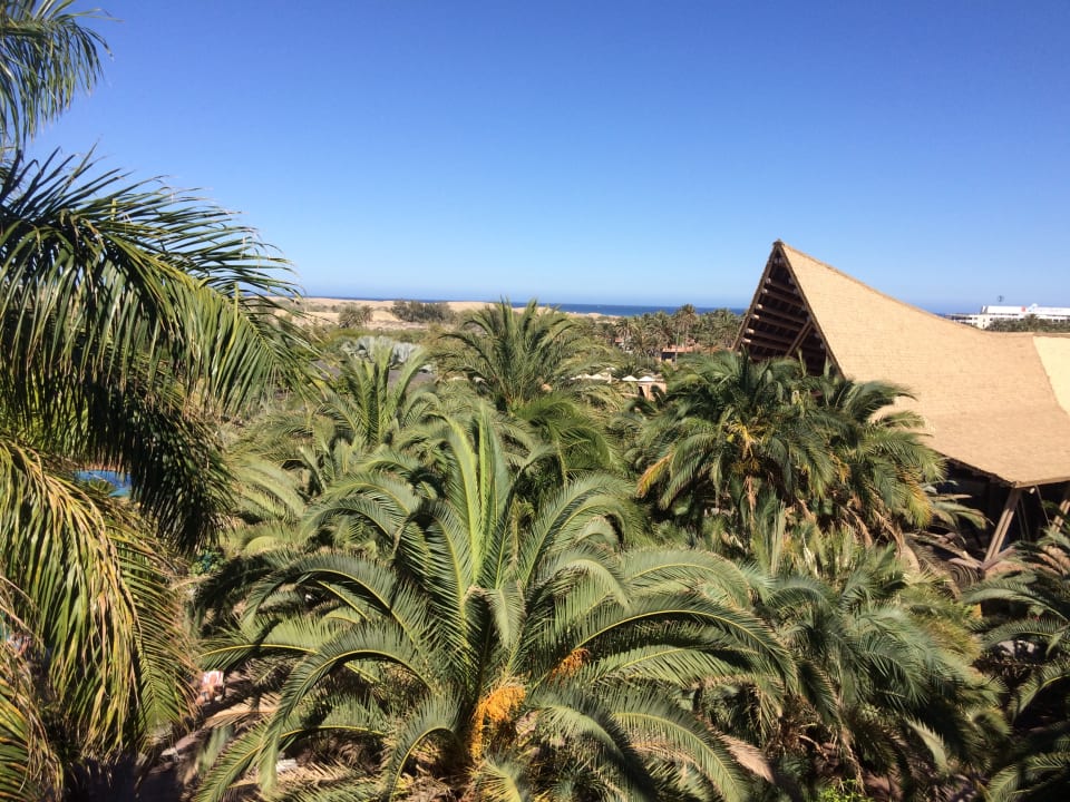 Ausblick Lopesan Baobab Resort