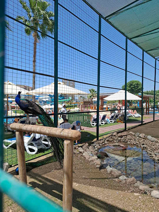 Gartenanlage Grand Hyatt Dubai