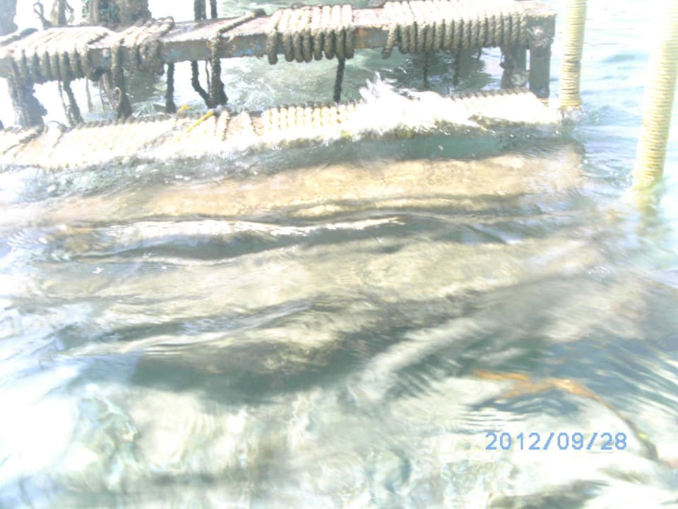 Badesteg Menaville Safaga