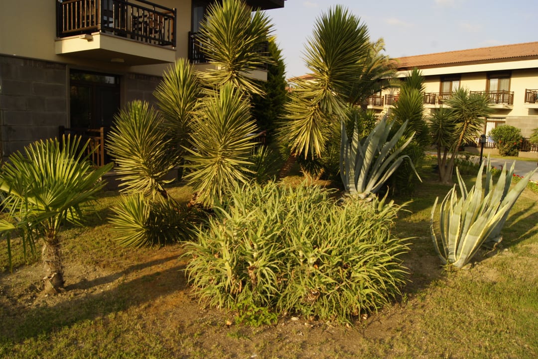 3 TUI BLUE Palm Garden
