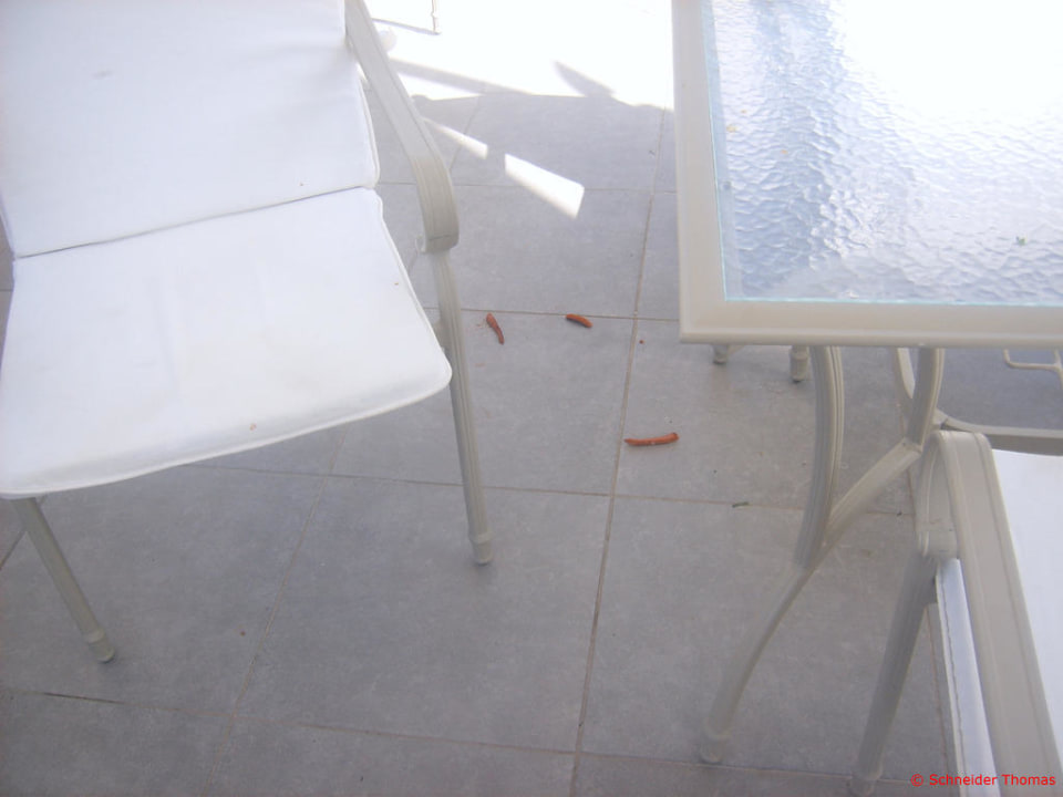 Verdreckte Snackbar Rixos Sungate