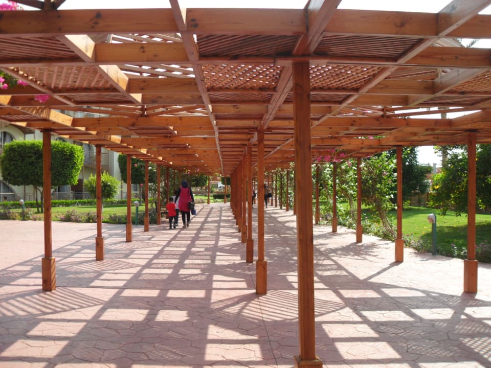 Gartenanlage Desert Rose