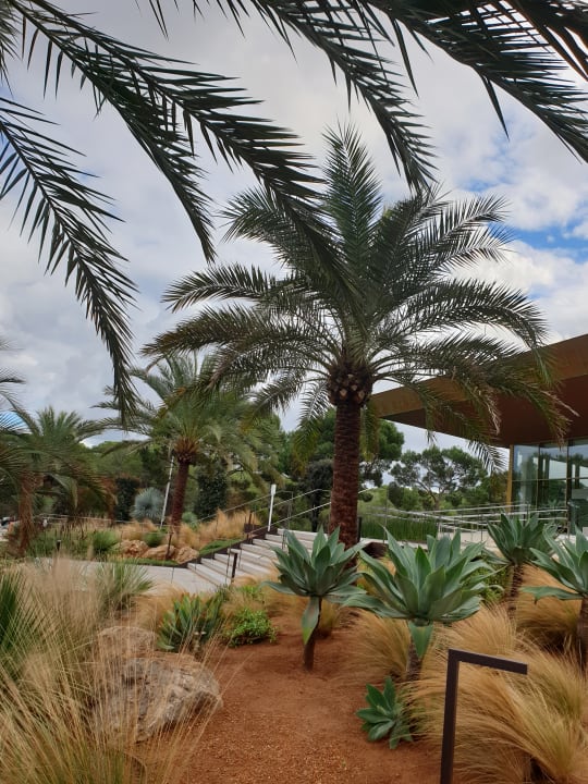 Außenansicht Hipotels Playa De Palma Palace