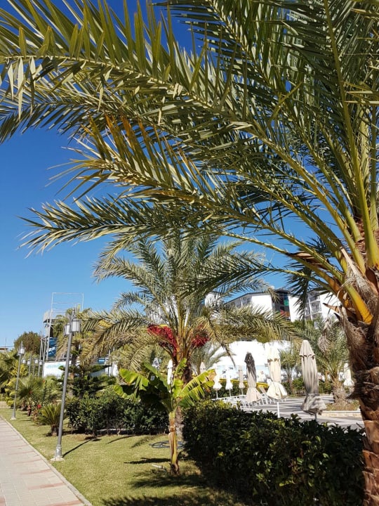 Hotelanlage Seaden Sea Planet Resort & Spa