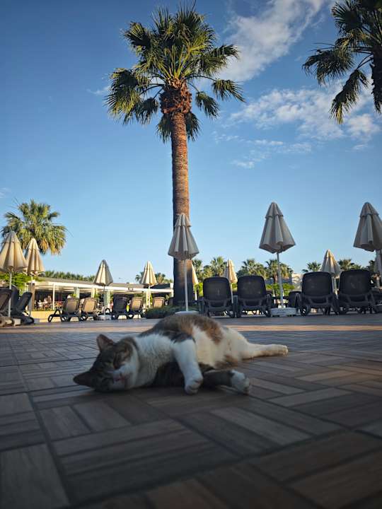 Pool VONRESORT Golden Beach