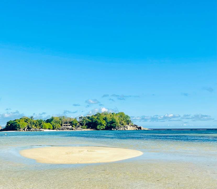 Sonstiges Constance Ephelia