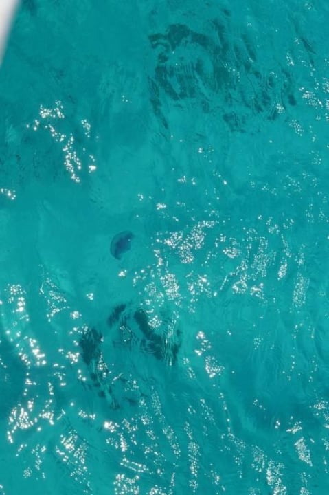 Море Blend Club Aqua Resort