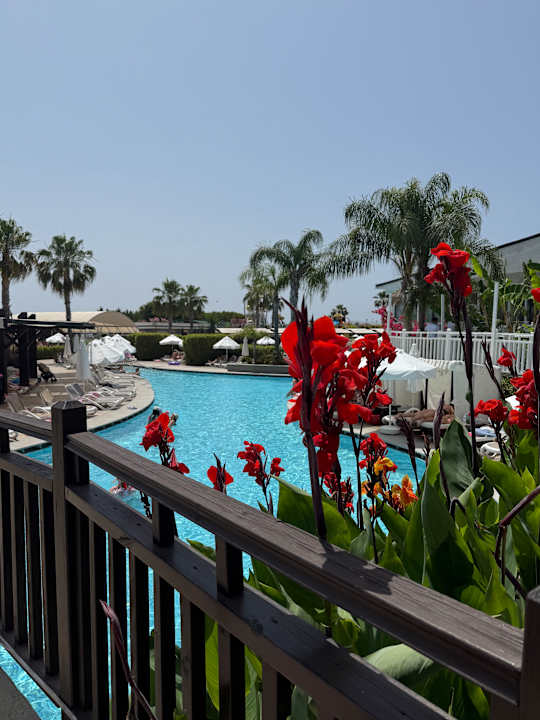 Pool Adalya Elite Lara