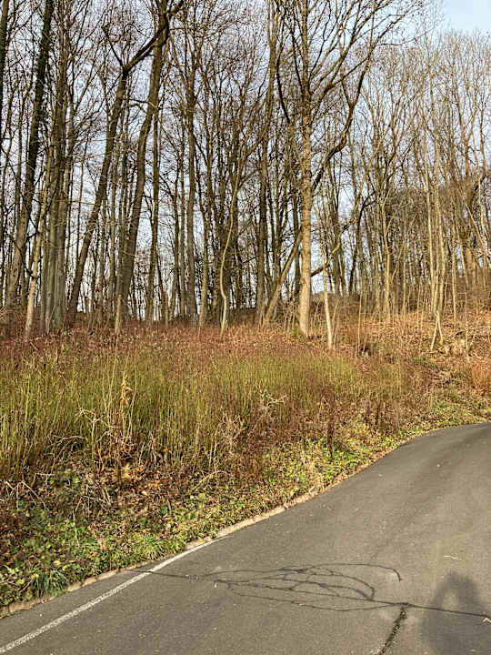 Ausblick Sure Hotel by Best Western Rhoen Garden