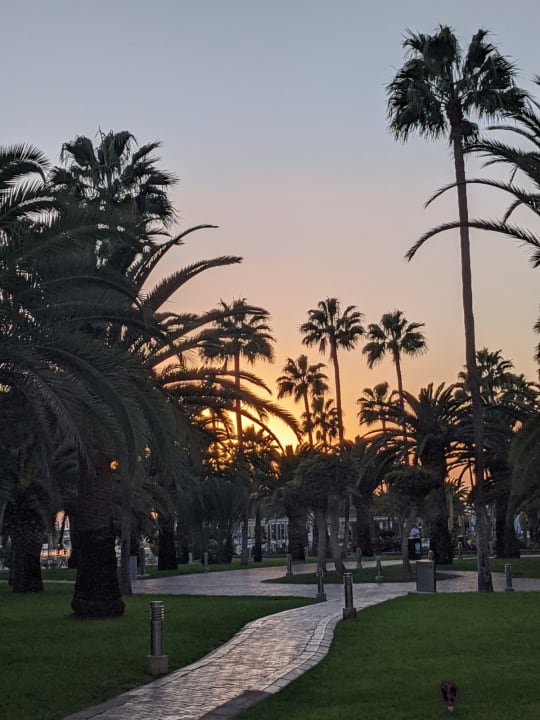 Gartenanlage Hotel Riu Gran Canaria