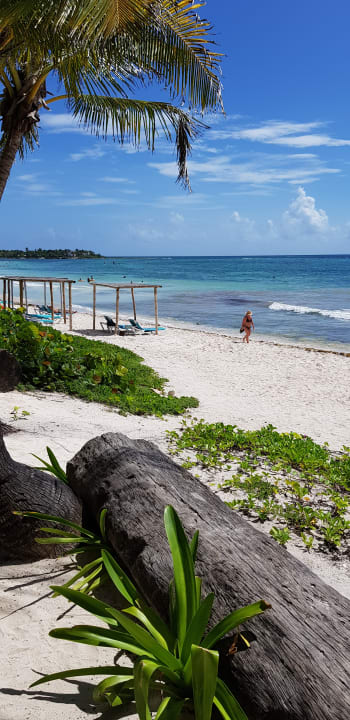 Strand Akumal Bay Beach & Wellness Resort