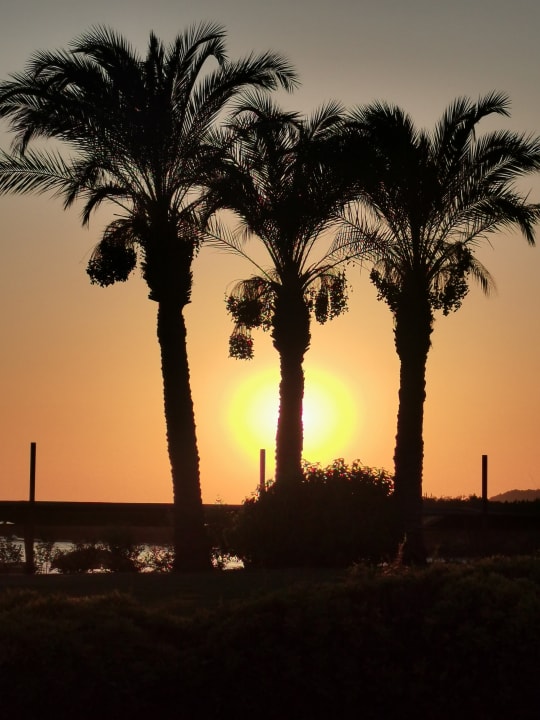 Ausblick Oz Hotels Incekum Beach