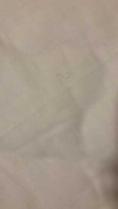 Zimmer Hotel Pension Sickinger Hof