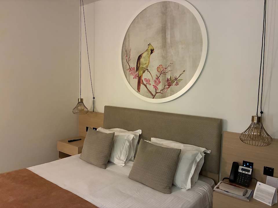 Zimmer NissiBlu Beach Resort