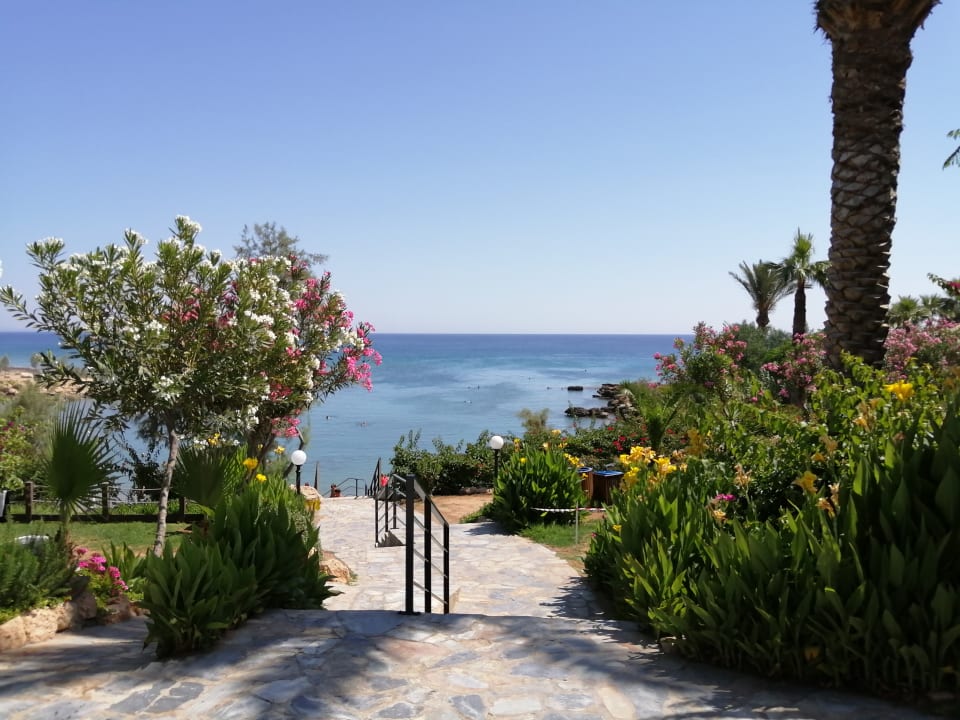 Außenansicht Crystal Springs Beach Hotel