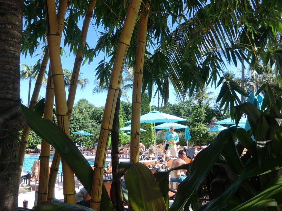 Blick auf Pool The Palms Hotel & Spa