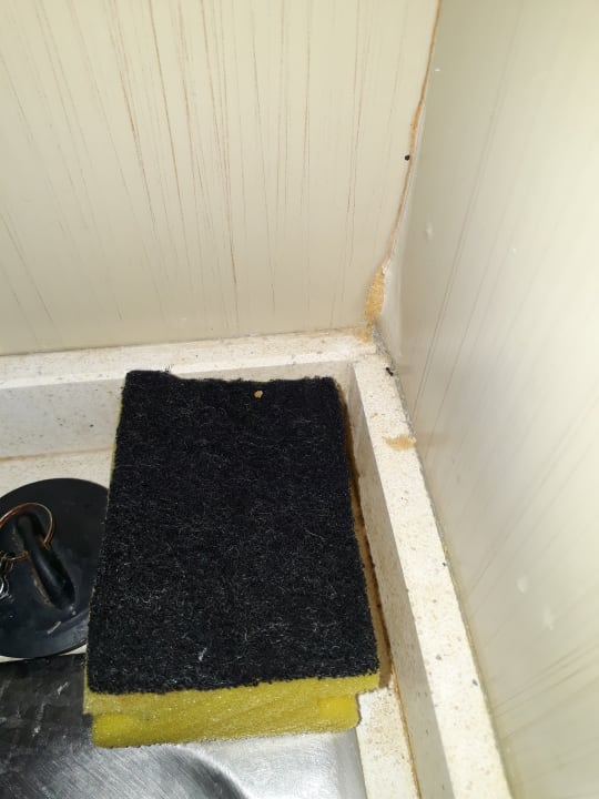 Zimmer blau punta reina