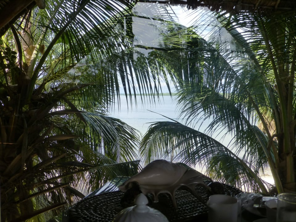 Ausblick aus dem Speiseraum Hotel The Funzi Keys