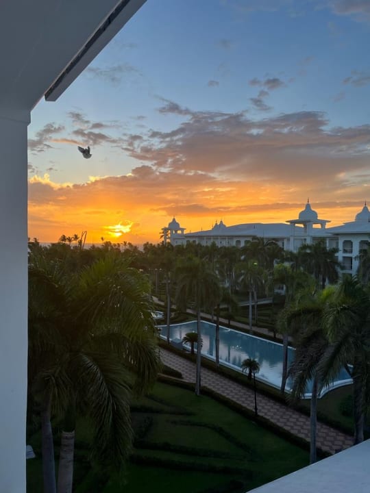 Ausblick Hotel Riu Palace Punta Cana