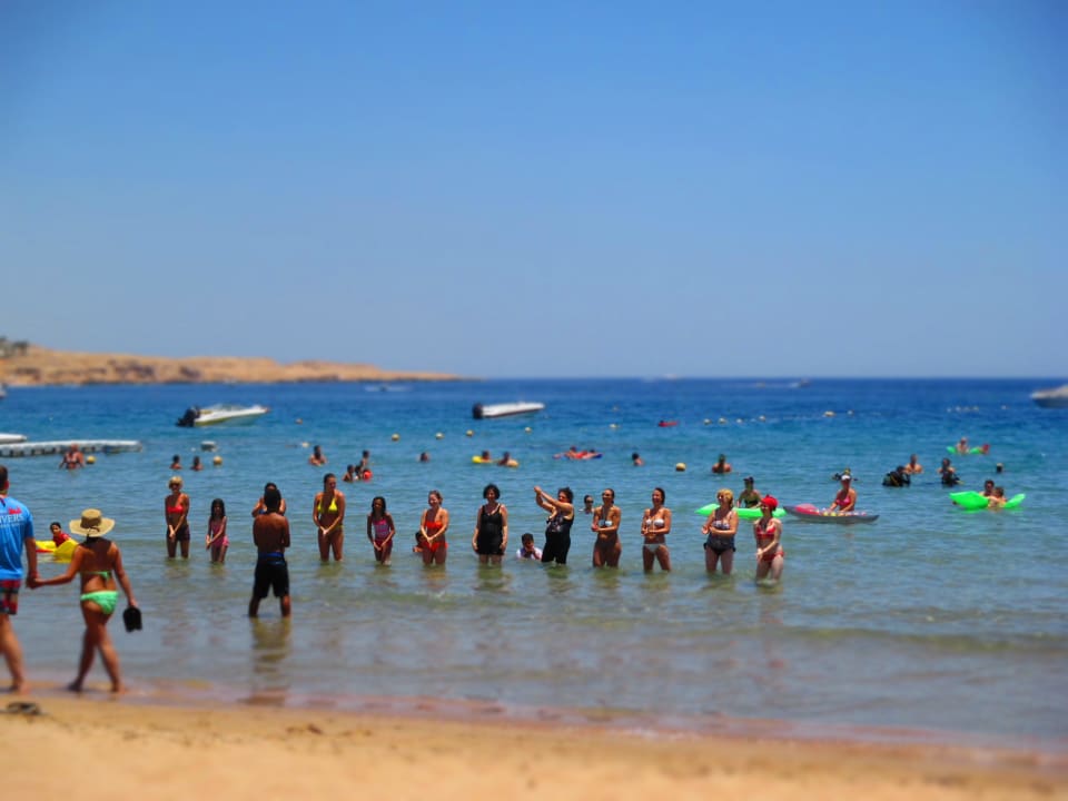 Gymnastik Ghazala Gardens