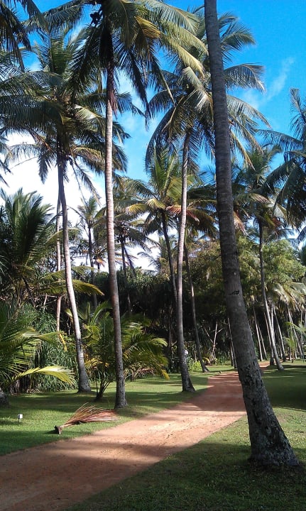 Wunderschön und sehr sauber Hotel Club Bentota