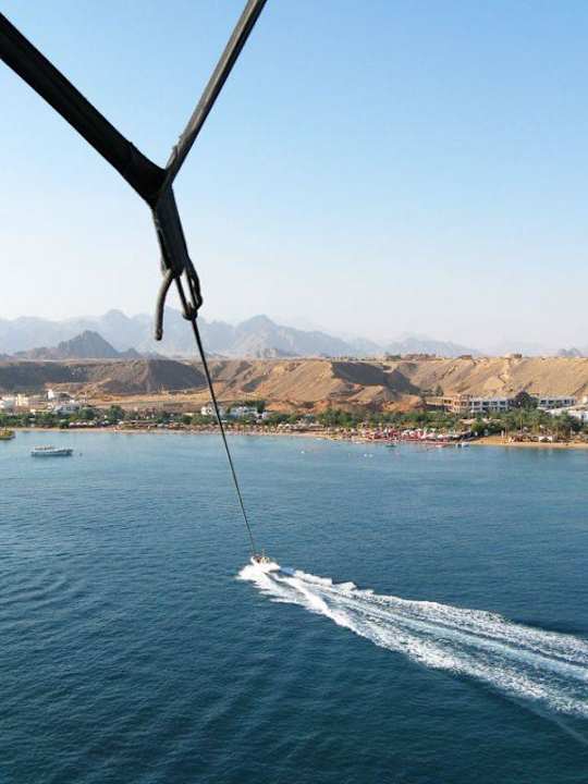 jetzt wird hoch  Albatros Sharm Resort