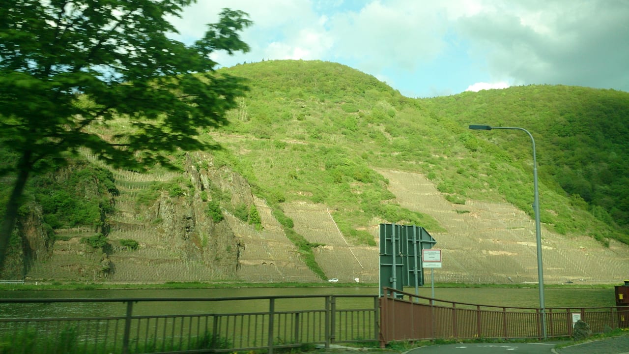 Moselblick Weinhaus Fuhrmann