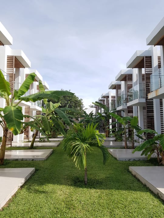 Garten TUI BLUE Tamala