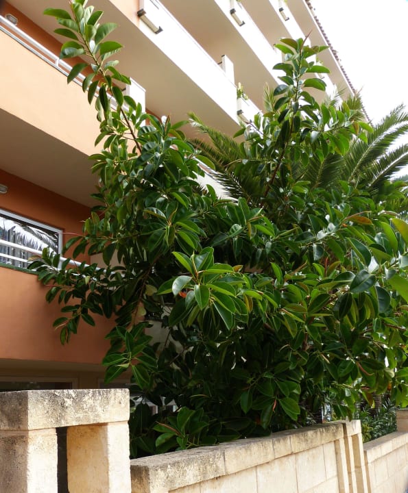 Von der Straße auf das  Hotel Caprice Janeiro Hotel & Spa